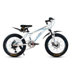 Велосипед KMS Lite MD 170 20" 6 ск